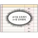 경중목장 1 | 시원한 미소 한 번에 평생을 살아갈 수도 있어~ ... 정말일까?