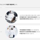 에스제이산업개발