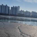 해오름광장 꽃게동상 이미지