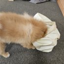 광주 동명동 요가인마이룸(yoga in my room) 원데이클래스 후기 / 내돈내산 (체험 3회 패키지)
