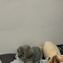 민락역 | 부산 민락역 브라질리언 왁싱, 피부 관리까지 한 번에! ‘리인뷰티 스킨룸’ 체험 후기 🌸