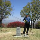 철망 담장이 길을 막아 나물 산행이 되고! - 예천 흑응산(217.3m)~봉덕산(373.6m)~봉화산(336.7m)~백마산(385.2m) 이미지