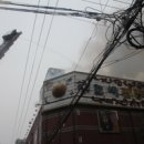 호박 관광나이트 이미지