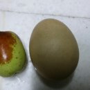수퍼왕
