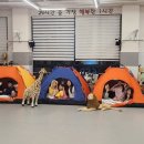 라이온태권도장 이미지