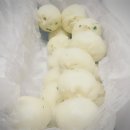 왕만두먹고찐빵먹고