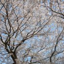 신시도초등학교 이미지