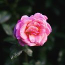 양성한의원 이미지