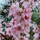 대지농장 이미지