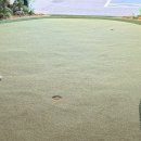 로얄골프연습장 | 은평구골프연습장 더로얄골프클럽 퍼팅 전문 레슨 후기