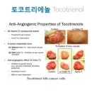 카야니의 세가지 제품 중 아주 많은 사랑을 받고 있는 카야니 썬셋! 이미지