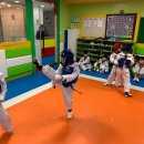 동인태권도 예절관 이미지