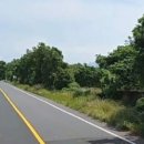 서광신화공인중개사사무소 이미지