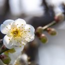 한대앞역 3번출구 육교 이미지