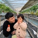 혜일농장 이미지