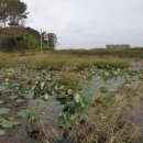 나들길 민박 이미지