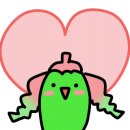 모이소한마리정육식당