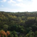 크래들산후조리원 이미지