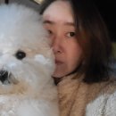 놀멍애견펜션 이미지