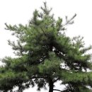 북서울꿈의숲(아트센터) 이미지