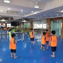 금암태권스쿨 이미지