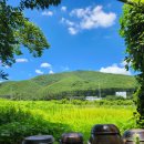 진미손칼국수 이미지