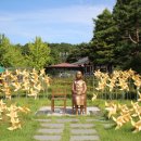 아산시신정호관리사무소 이미지