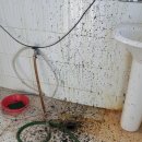 재송2동-22 이미지