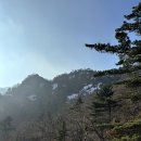 새부산식당 | [연캉스14] 새부산관광 동해안 강원도 미식여행 2편