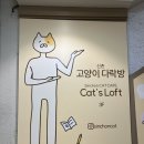 다락방고양이 | 신촌 고양이카페 고양이다락방 이색데이트 추천 간식 구매 후기