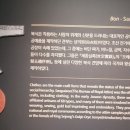 오조룡왕비보 이미지