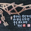 물고기(물과의 만남 이미지