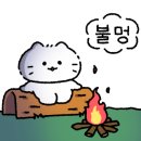 수복캠핑장 이미지