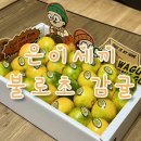 불로초교 | &lt;은이세끼&gt; 송은이님이 추천하는 인증 받은 불로초 감귤 찐 후기