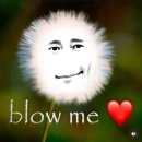 라잇나우 이미지