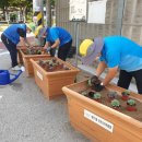 회천1동사무소 이미지