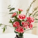 방배천로 이미지