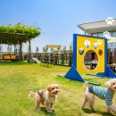 바다사우나 이미지