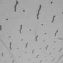 덕은크리닝 이미지