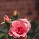 동일로+공인중개사사무소 이미지