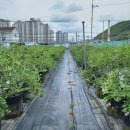 현곡농장 이미지