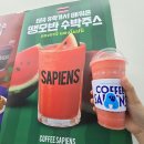 사피엔스위 | 100%수박주스 카페 커피사피엔스 문래NS타워점 땡모반 진심 미쳤다