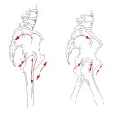 강남헬스사우나 이미지