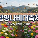 함평나비대축제 티스토리