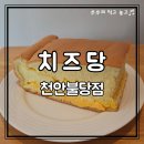 오리지널디테일천안 | 천안맛집디저트 | 치즈당 천안불당점 대왕 치즈 카스테라 솔직 후기