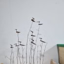 솟대 - 남구 | 솟대