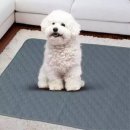 조은펫