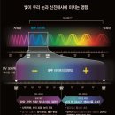 퍼스트에비뉴안경 이미지