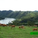 초원목장2 이미지