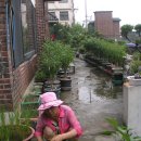 이화약국 이미지